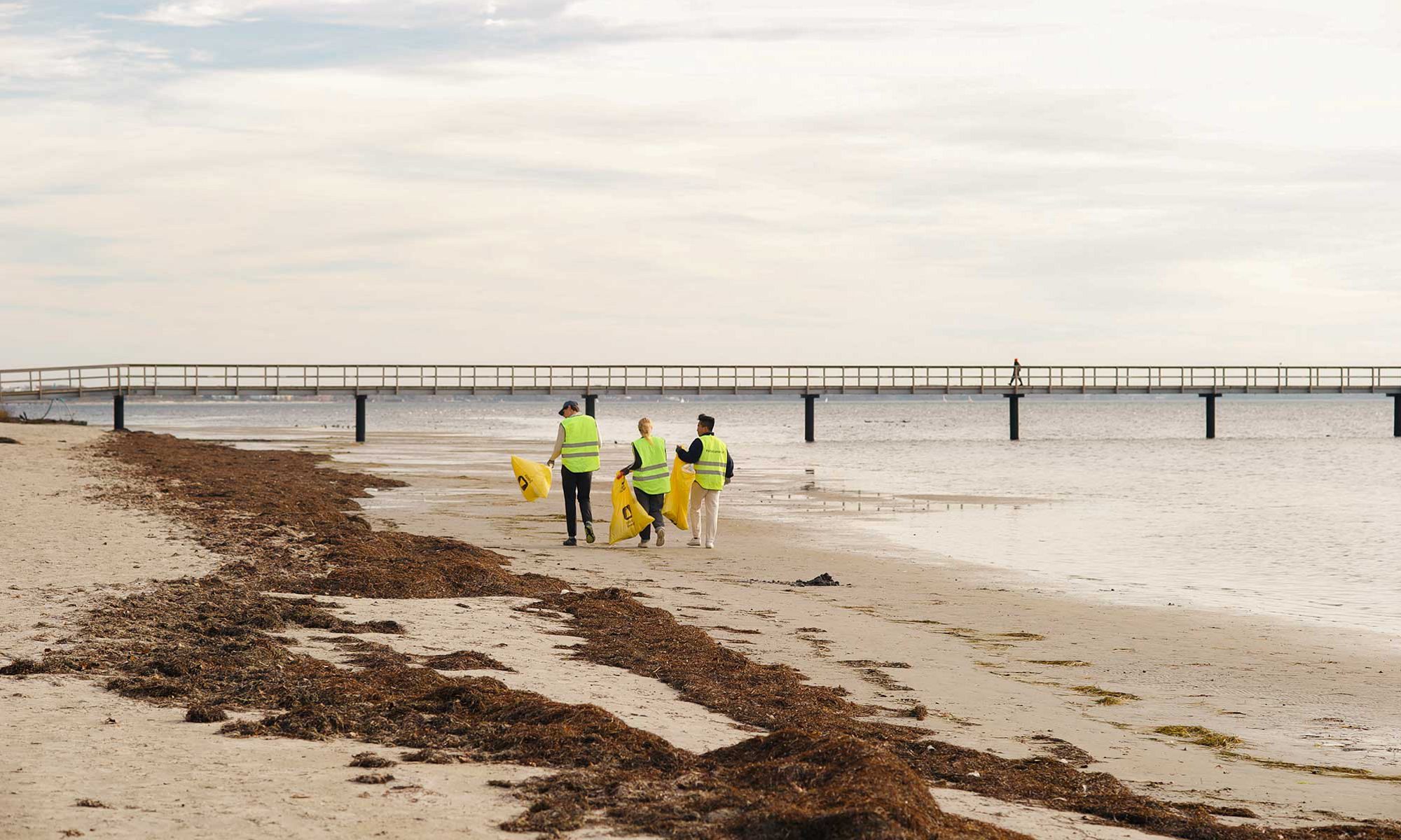 Three persons walking on a beach with garbadge bags.